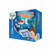   WORLD LIFE - MANDARINFISH/ Животный мир - Мандариновая рыбка